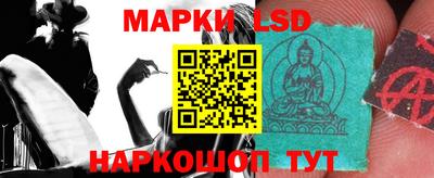 apvp Нальчик