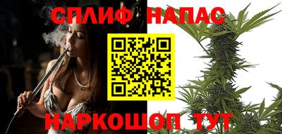 apvp Нальчик
