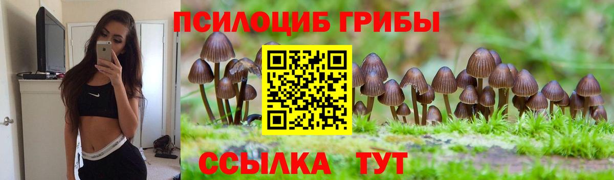 Псилоцибиновые грибы прущие грибы Новокуйбышевск