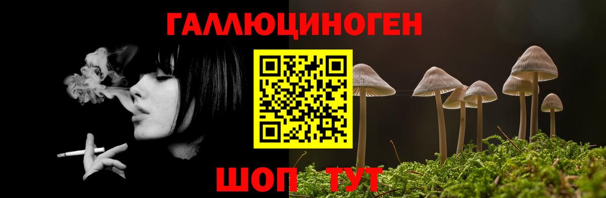 Новокуйбышевск  Псилоцибиновые грибы прущие грибы  Вход с VPN  Псилоцибиновые грибы GOLDEN TEACHER 